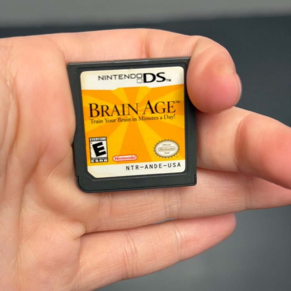 DS Brain Age Game
